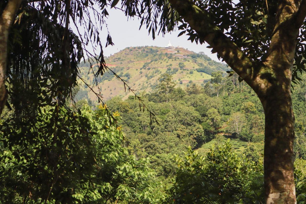 Nature Walk Ella Exterior photo